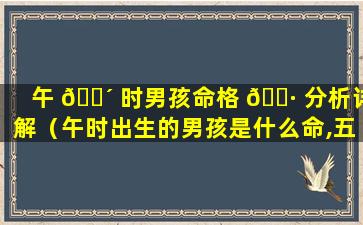 午 🐴 时男孩命格 🌷 分析详解（午时出生的男孩是什么命,五行缺什么）